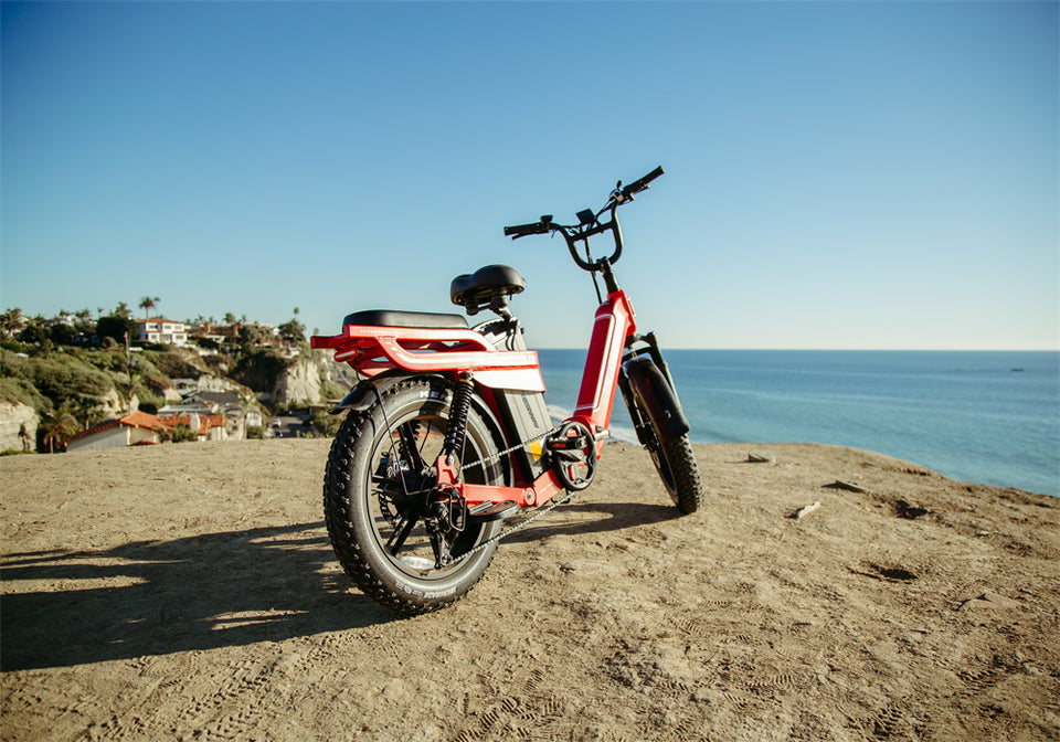 How to Choose the Electric Fat Tire Bike for You