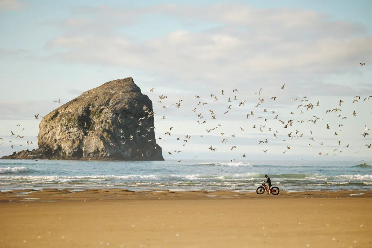 Best Tesway Step Through Electric Bikes for Short Riders