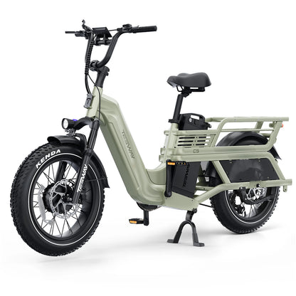 TESWAY C5 AWD Cargo EBike