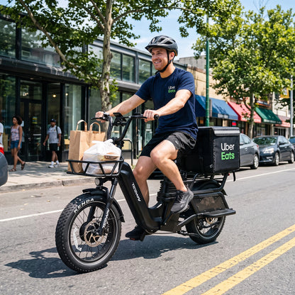 TESWAY C5 AWD Cargo EBike