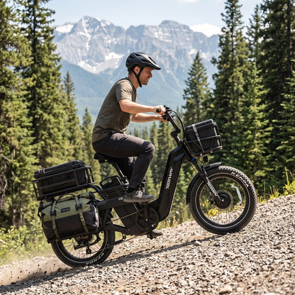 TESWAY C5 AWD Cargo EBike