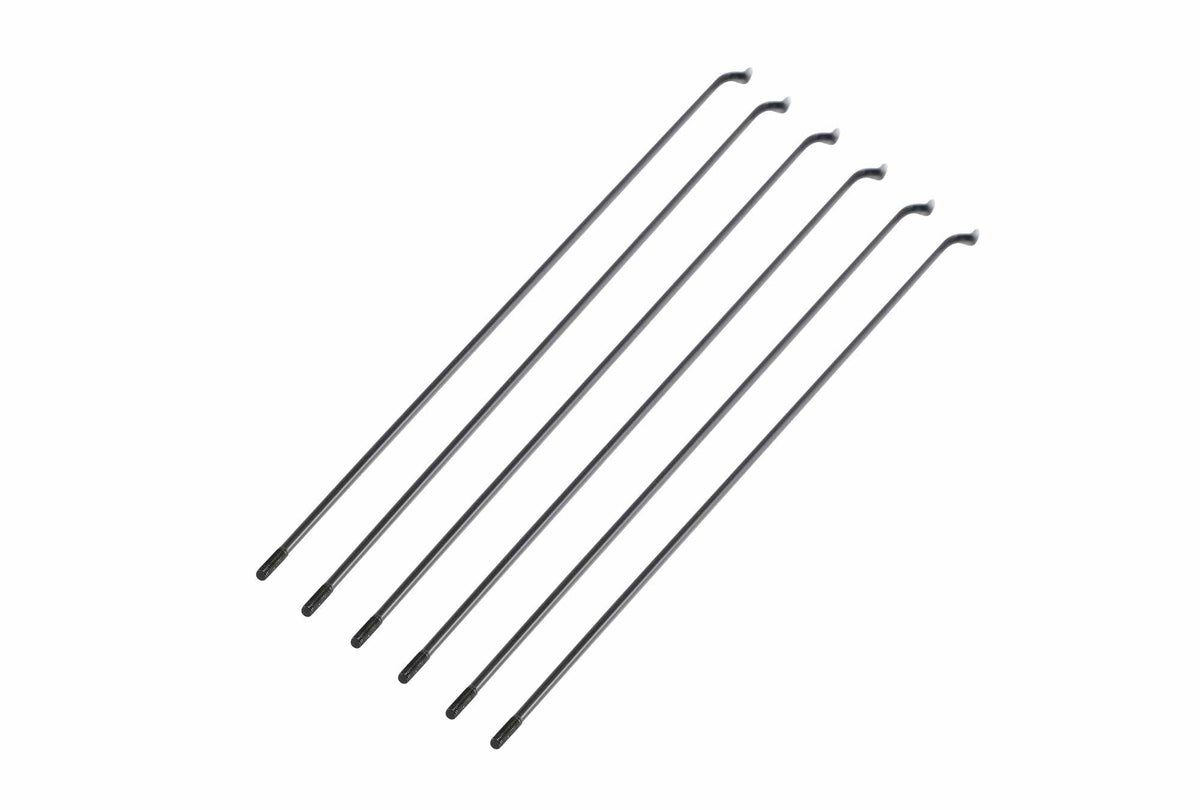 TESWAY Wheel Spoke & Nipple Set of 6